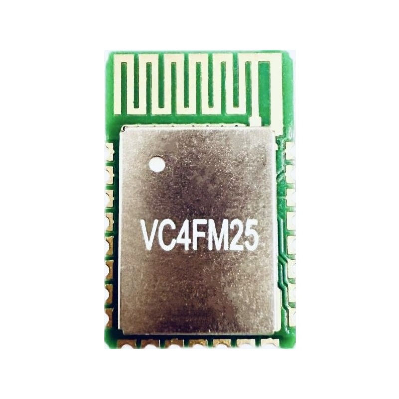 VC4FM25